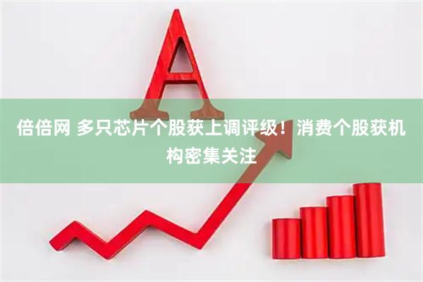 倍倍网 多只芯片个股获上调评级！消费个股获机构密集关注