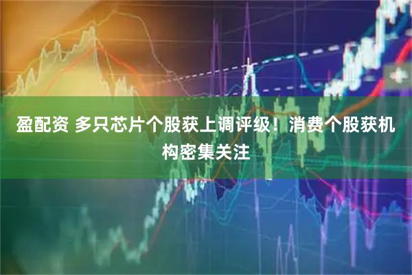 盈配资 多只芯片个股获上调评级！消费个股获机构密集关注