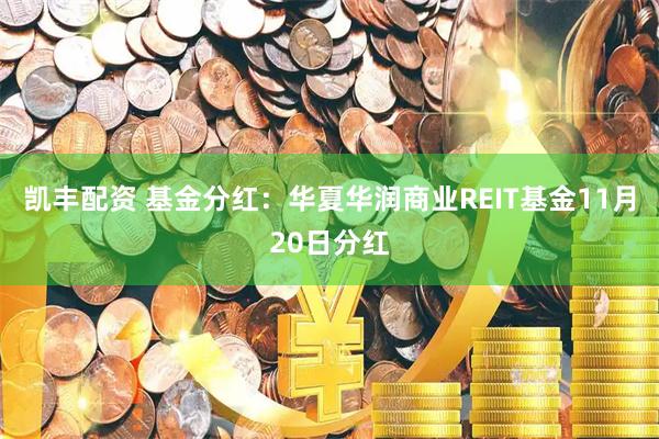 凯丰配资 基金分红：华夏华润商业REIT基金11月20日分红