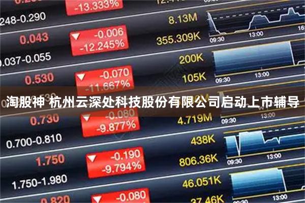 淘股神 杭州云深处科技股份有限公司启动上市辅导