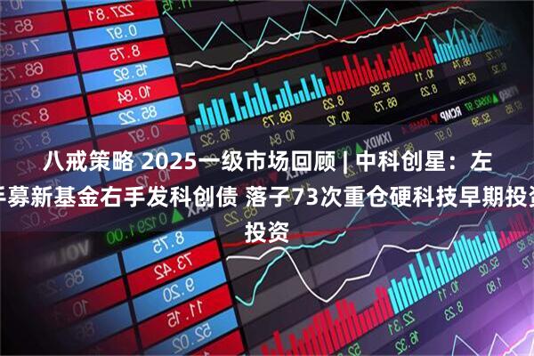 八戒策略 2025一级市场回顾 | 中科创星：左手募新基金右手发科创债 落子73次重仓硬科技早期投资